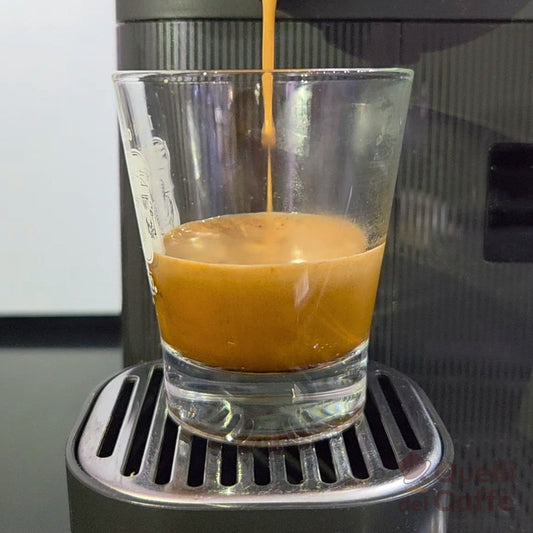 100 Capsule compatibili Lavazza A Modo Mio* miscela FORTE E CREMOSO - Quelli del Caffè